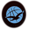 https://img.jxjtsz.com/img/basketball/team/1a45d903dafdcc026ec9809d9916a681.png