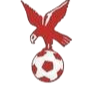 https://img.jxjtsz.com/img/football/team/4802d26df935b78bb2fcdbbff36e8864.png